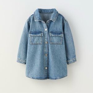 Zara Denim Shirtdress